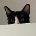 Peek