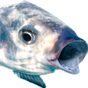 awaawa_pog