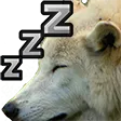 zzz_wolfie