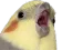 shook_birbq
