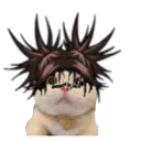 chosomeow