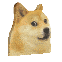 doge_alert Discord Emoji