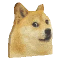 doge_alert