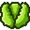 shape_lettuce