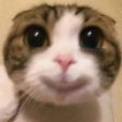 Didi Didi