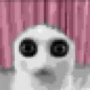 horror horror