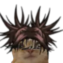 chosocatsurprised chosocatsurprised