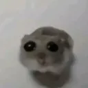 emoji_14
