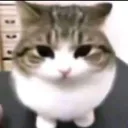 uhmmm