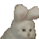 Ca Tbunnynod Discord emoji