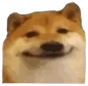 dog_bruh