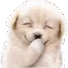 hehe