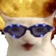 catHeadache