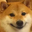 dogSmile