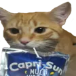sip