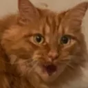 walterwoah walterwoah