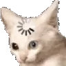 catLoading