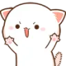 catRawr