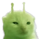 glorp glorp