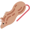rat_peanut