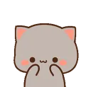 catfire