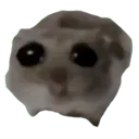 f_hamster