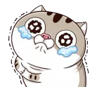 catamisob