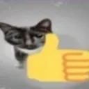 cat_thumbsup cat_thumbsup