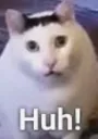 huh_b huh_b