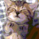 e_cat_sleep e_cat_sleep