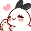 bunnyhug