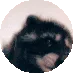 pedro