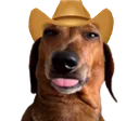 herbertcowboy