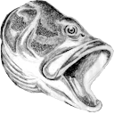 bassPog