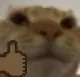 thumbupmoggi