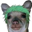 zoro_bruh2 zoro_bruh2