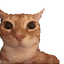 ohgreatheavens ohgreatheavens