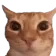 E9_toosilly