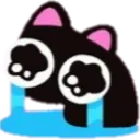 _cat_chorando Discord Emoji