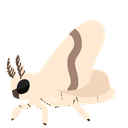 moth Discord emoji