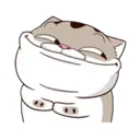 hehecat hehecat