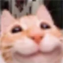 3_
