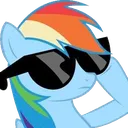 cooldashie