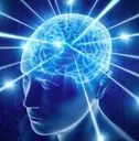 bigbrain