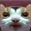 emoji_12