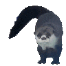 OtterDance