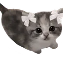 bibi