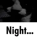 night