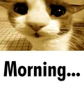 goog_morning