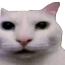 Cuncanny